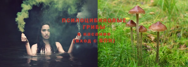 мет Мегион