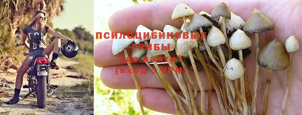 jwh Аркадак
